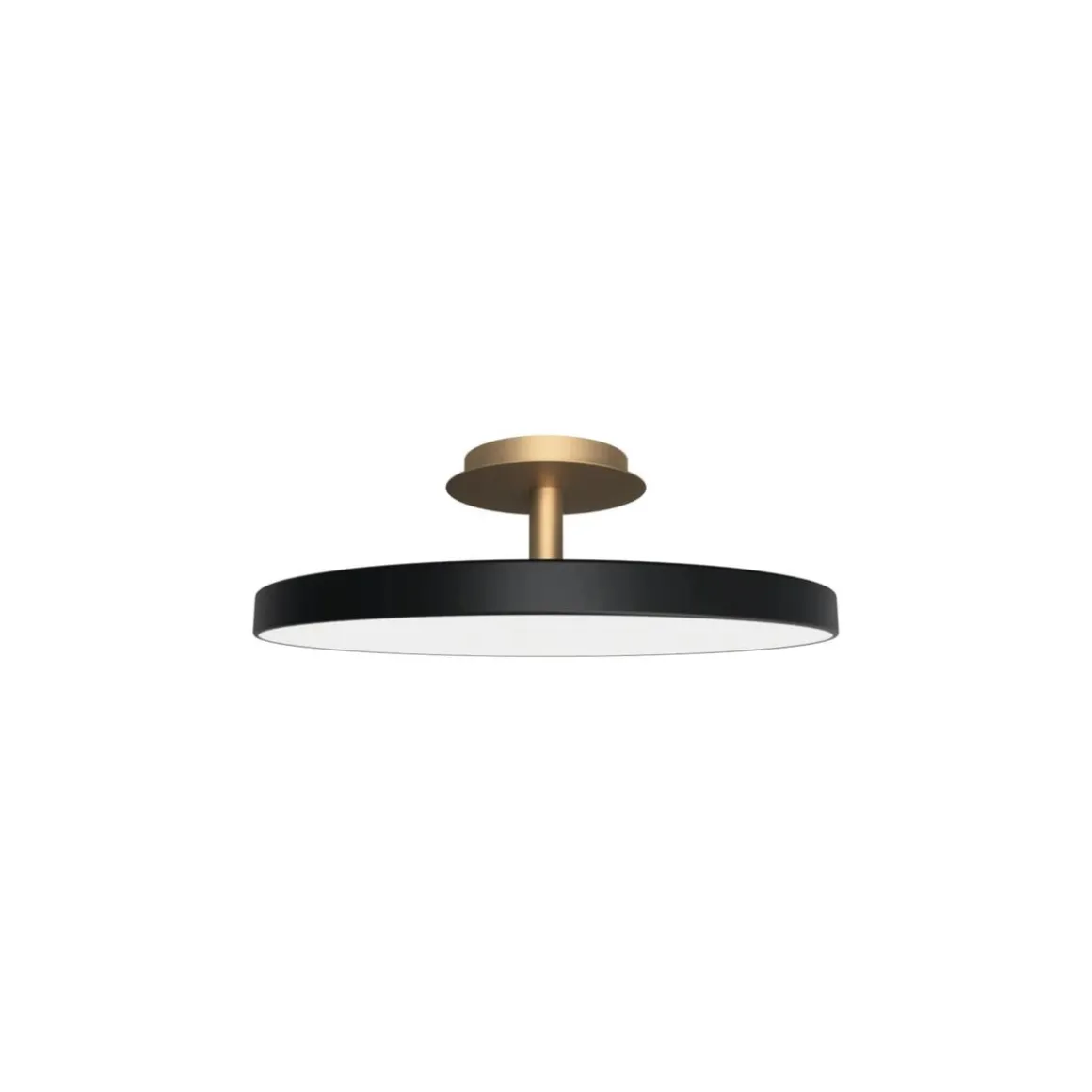 Asteria Plus large