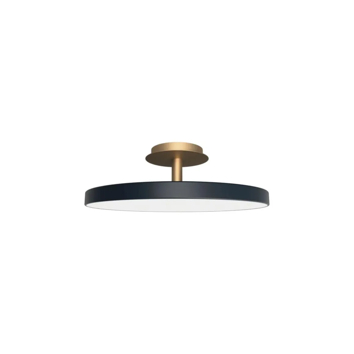 Asteria Plus large