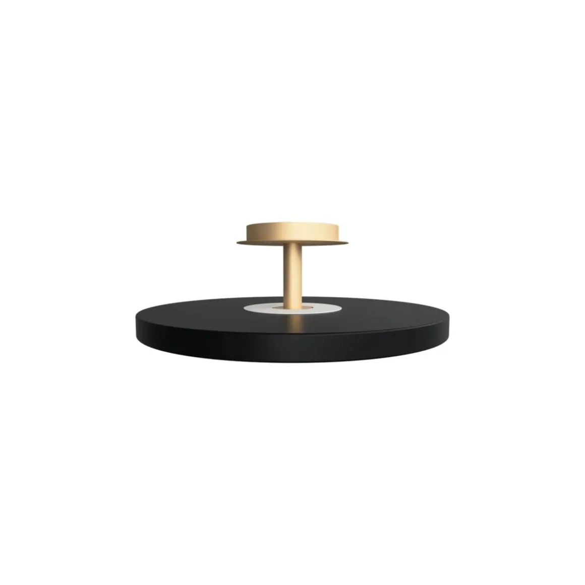 Asteria Plus large