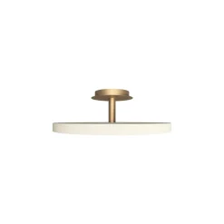 Asteria Plus large