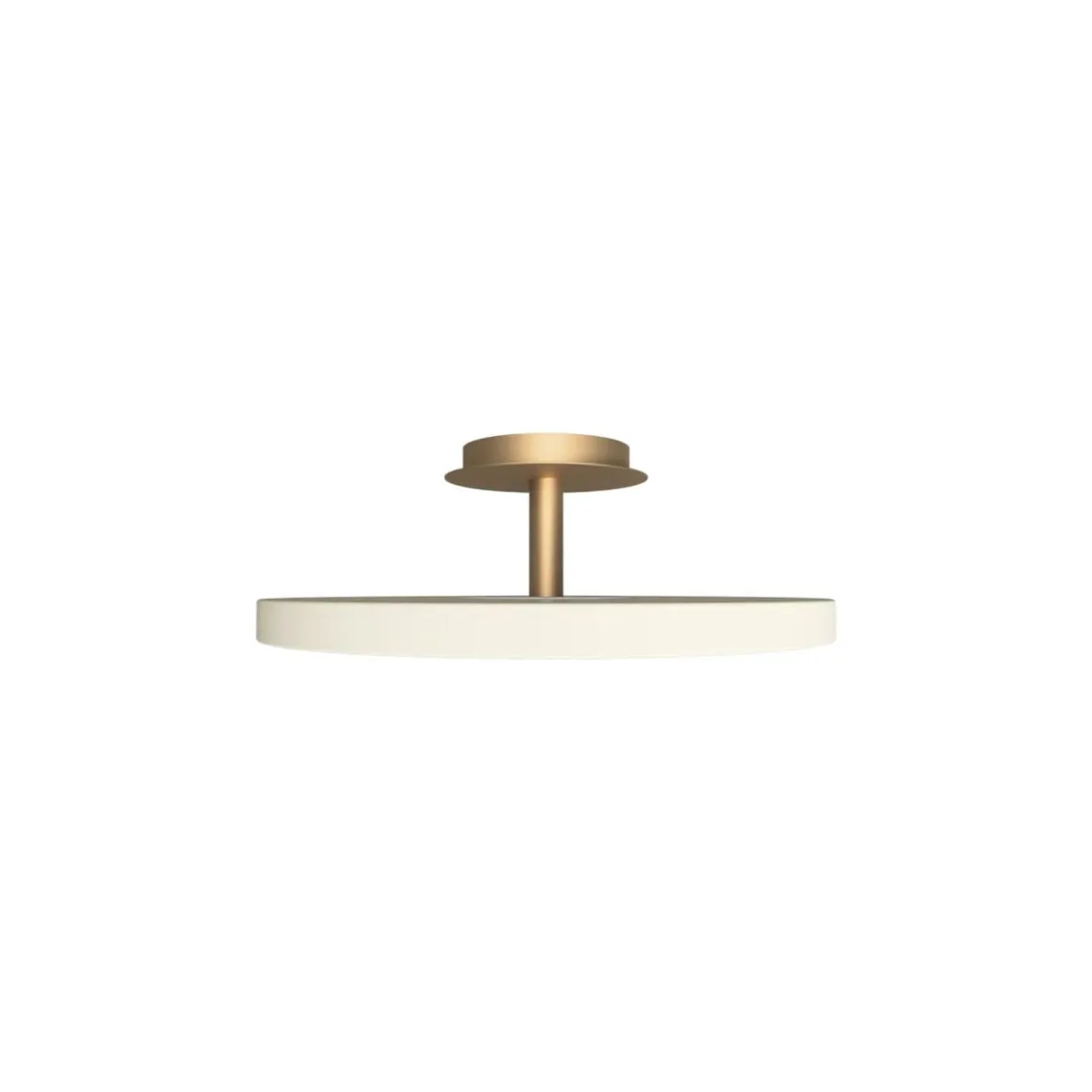 Asteria Plus large