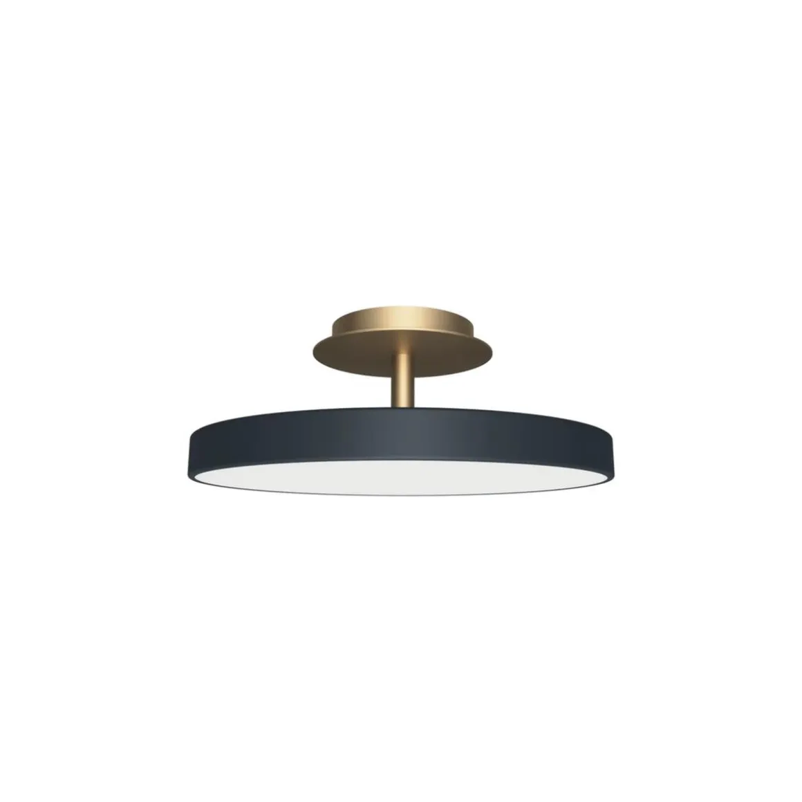Asteria Plus medium