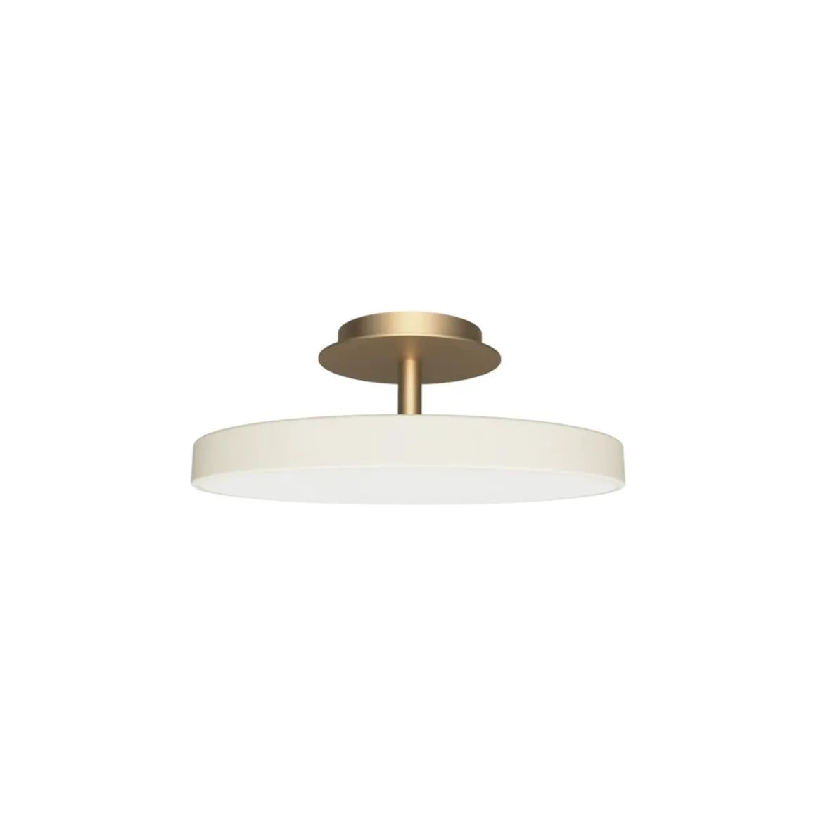 Asteria Plus medium