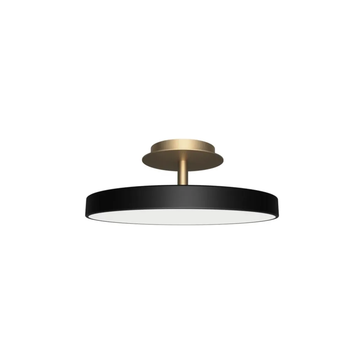 Asteria Plus medium