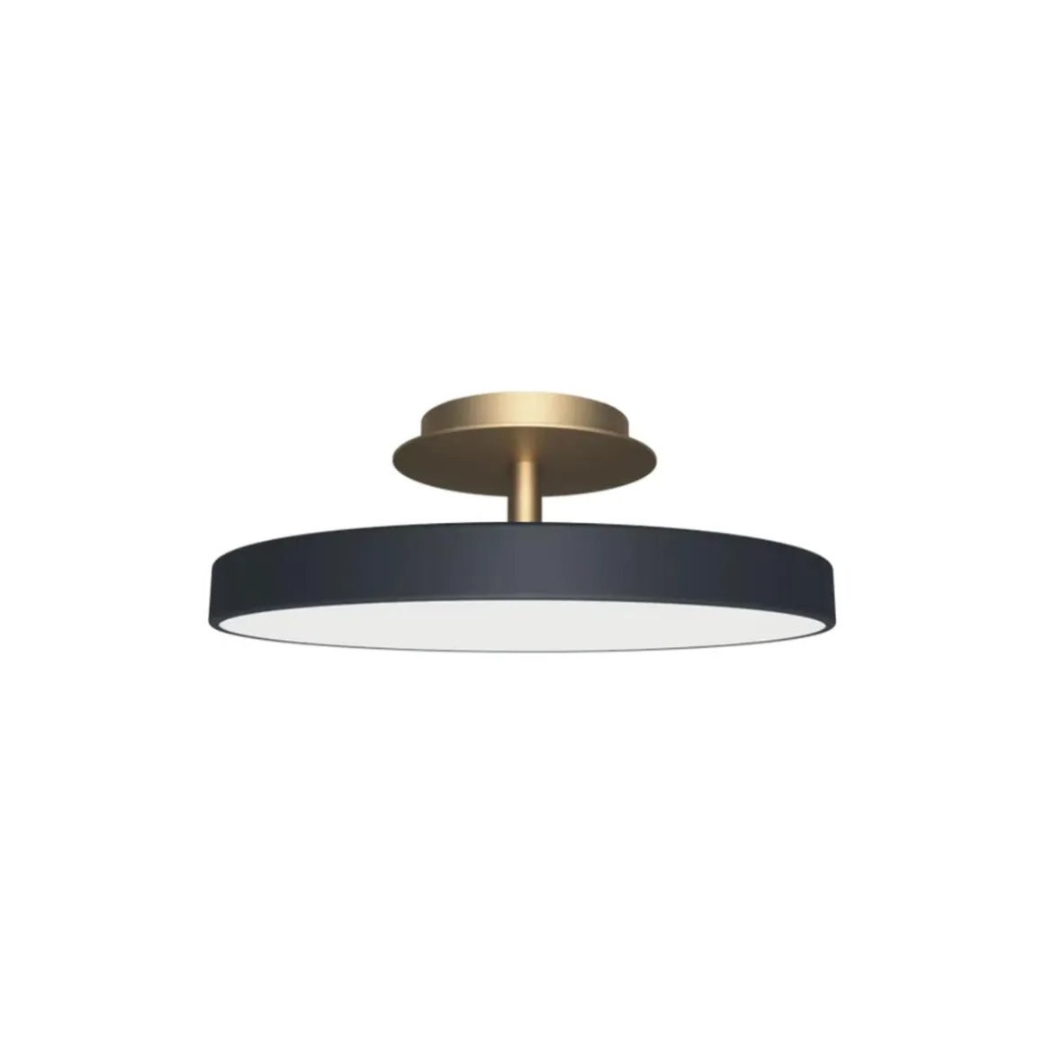Asteria Plus mini