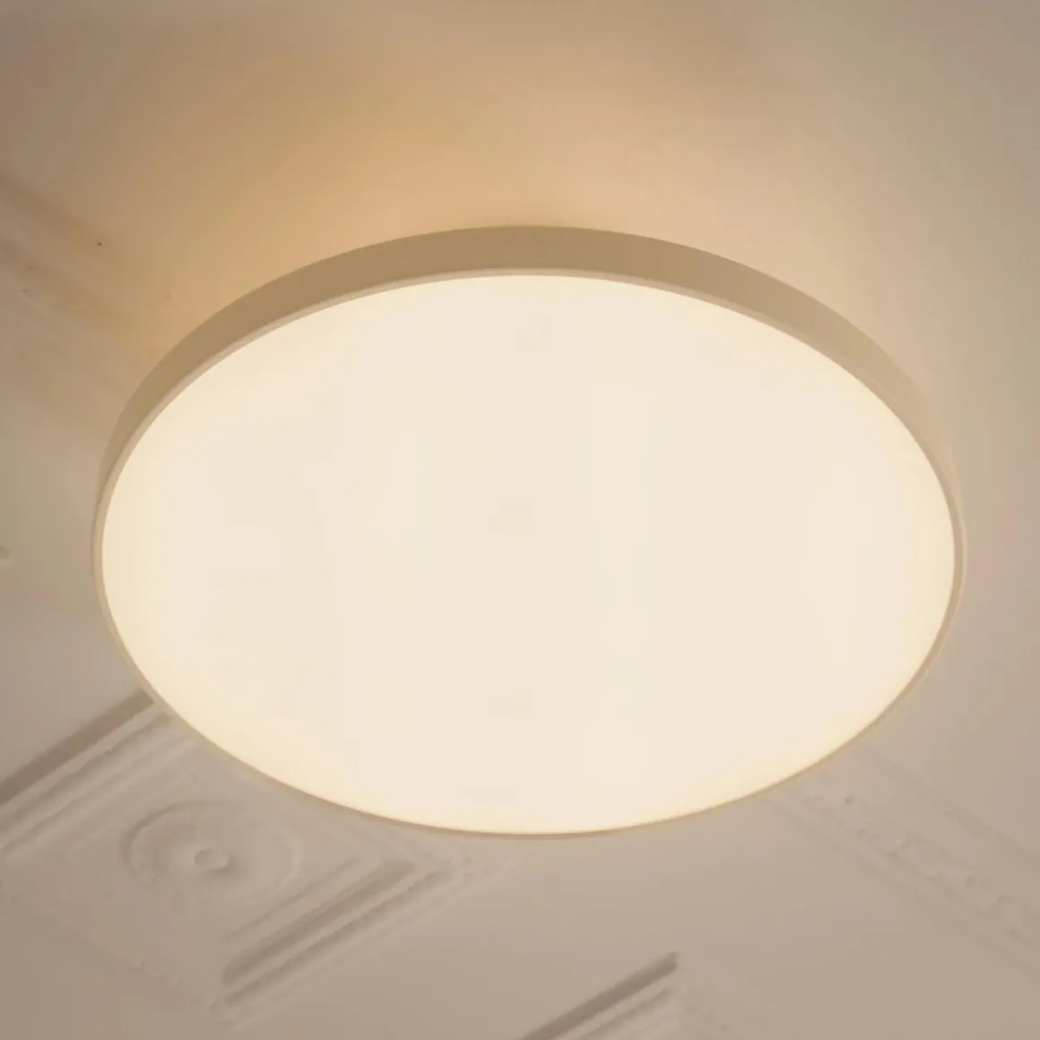 Asteria Plus mini