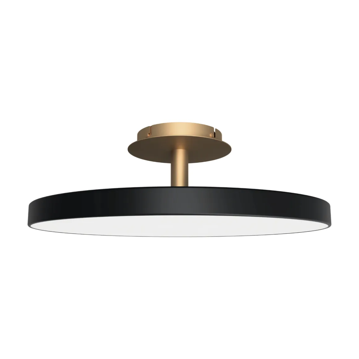 Asteria Up taklampe large