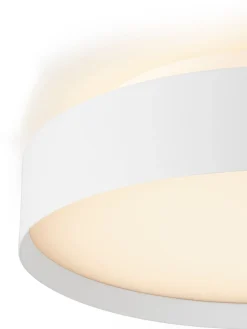 Backlight Plafond 50 cm 3-step dim 48W 3000 Kelvin