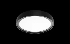 Disc 290 taklampe 17W 2700K
