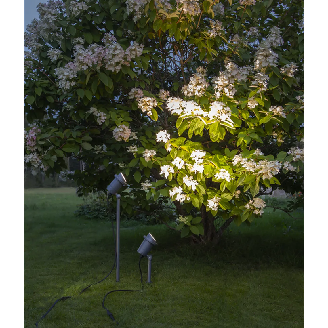 Focus uplight på spyd 67 cm utendørs GU10 IP44 - Svart