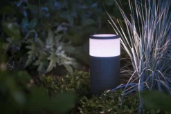 Philips Hue Calla pullert white ambiance & color luminairs 25 cm - Forlenger