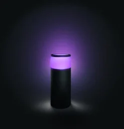 Philips Hue Calla pullert white ambiance & color luminairs 25 cm - Forlenger
