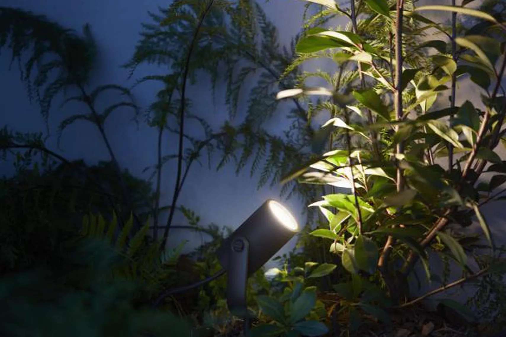 Philips Hue Outdoor Lily Spike 1x8W uplight extension kit, antrasitt