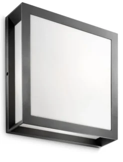 Philips Skies vegg/taklampe utendørs IP44 E27