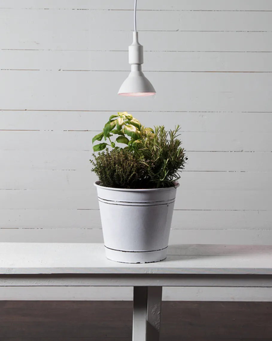 Plantelys rød 16W, LED