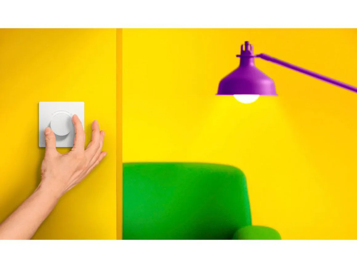 Wiz smart dimmer